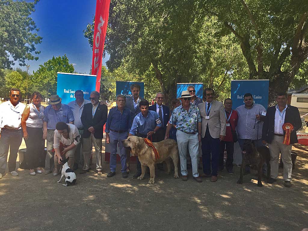 Resultados de la Exposición Nacional de Razas Caninas Españolas