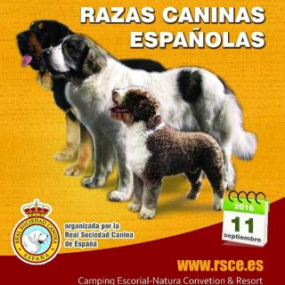Exposición Nacional de Razas Caninas en El Escorial