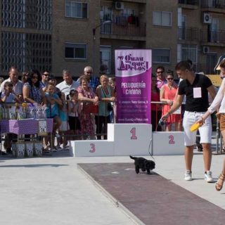 Más de 100 inscritos en el II Desfile Canino Guau, Qué Pelos!