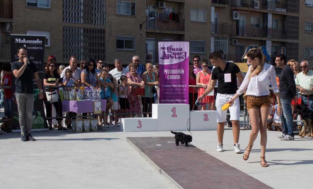 Más de 100 inscritos en el II Desfile Canino Guau, Qué Pelos!