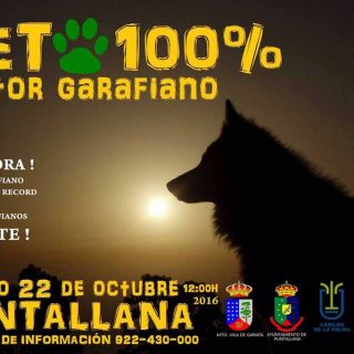 La Asociación Española del Perro Pastor Garafiano ha organizado para el próximo 22 de octubre un evento con el que se pretende batir un récord mundial.