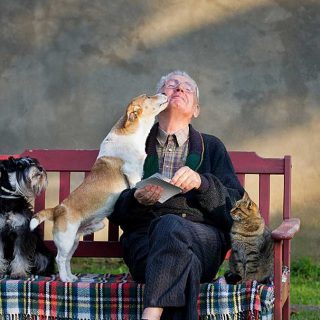 5 Beneficios de las mascotas para las personas mayores.