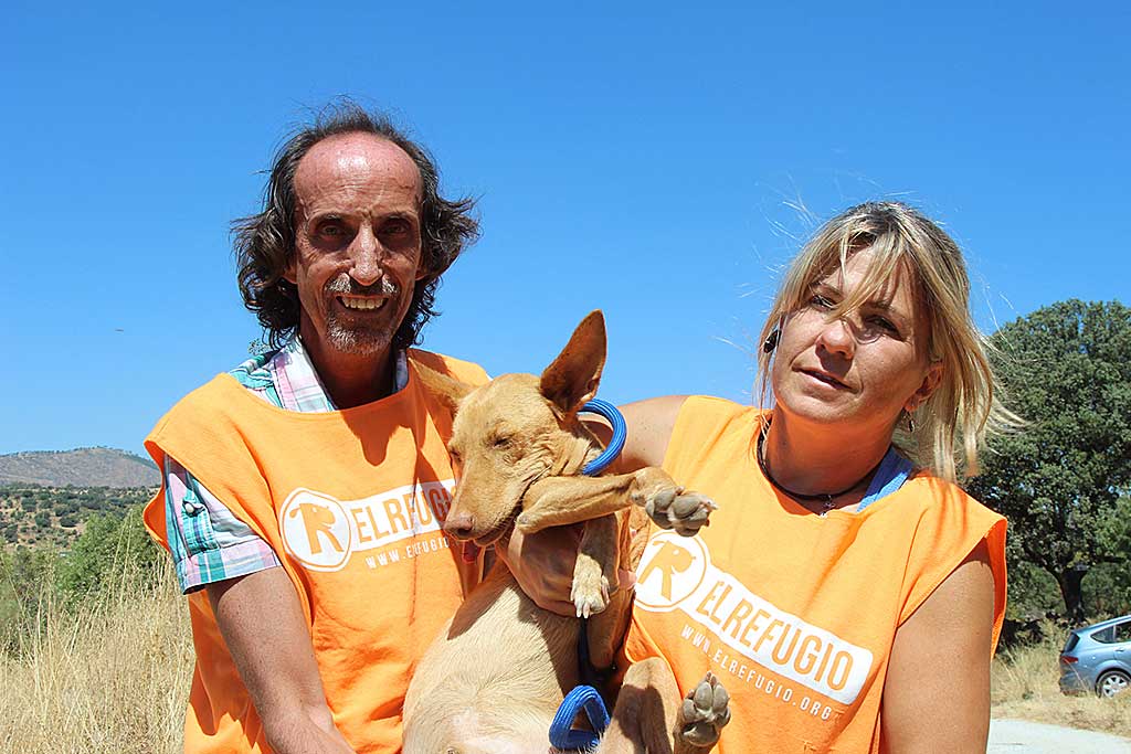 El Refugio rescata tres perros utilizados para la caza en pésimas condiciones