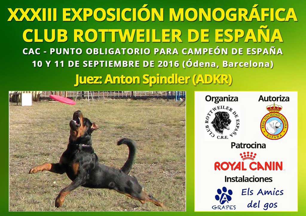 XXXIII Exposición Monográfica del Club Rottweiler de España