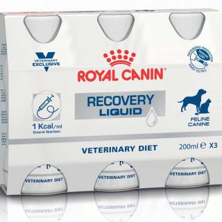 Royal Canin desarrolla una nueva gama de productos especialmente formulada para la alimentación por sonda.