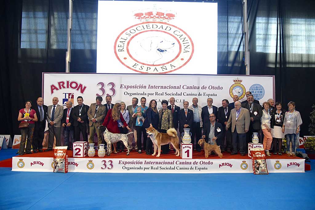 Mejores perros de la 33º Exposición Internacional Canina de Otoño.