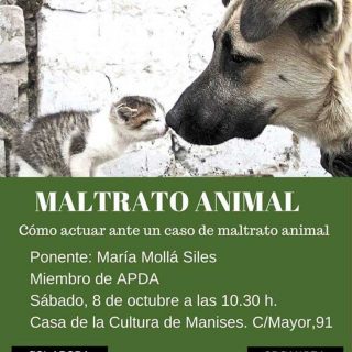 Charla gratis en Manises (Valencia) para saber cómo actuar ante un caso de maltrato animal