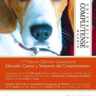 Curso de Educador canino y terapeuta del comportamiento de la Universidad Complutense de Madrid.