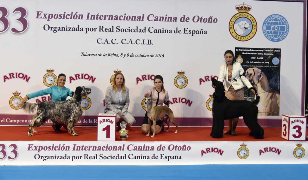 Macarena Rueda se ha clasificado automáticamente para participar en la final de presentadores juveniles que se celebrará el próximo año en la 89º Exposición Internacional de Primavera de Madrid;