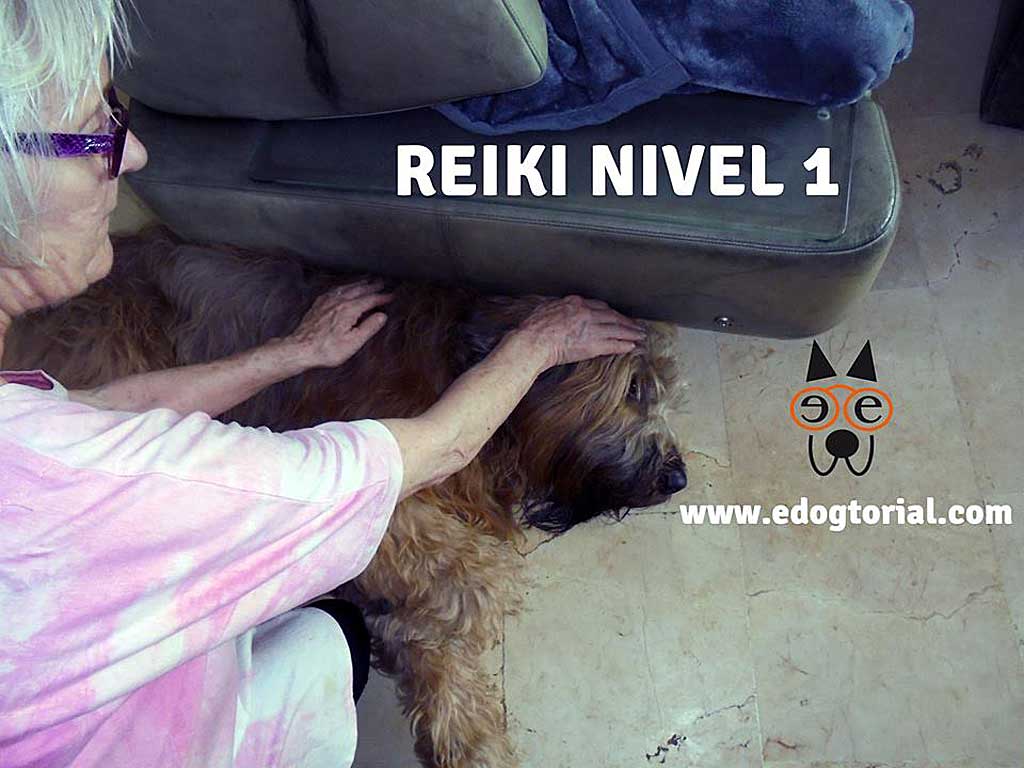 Reiki para perros: Mary Rodríguez (maestra practicante y formadora) va a impartir por primera vez en Madrid un curso de Reiki nivel 1 para humanos, animales y plantas.
