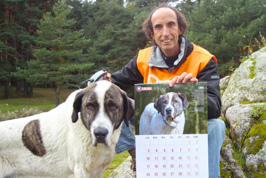 El Refugio anima a la adopción de perros mayores con su calendario solidario.