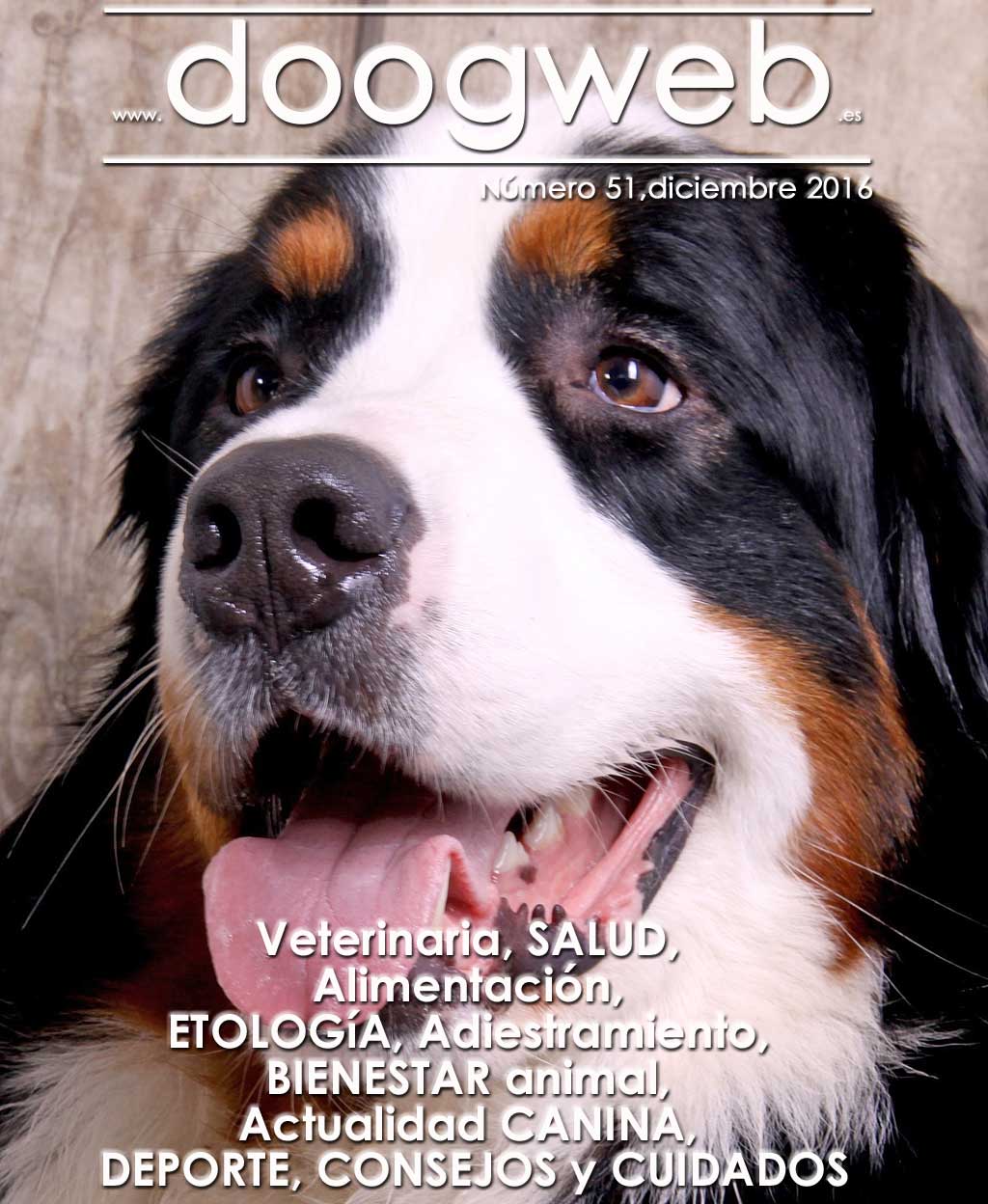 Revista gratis de Doogweb, diciembre 2016.