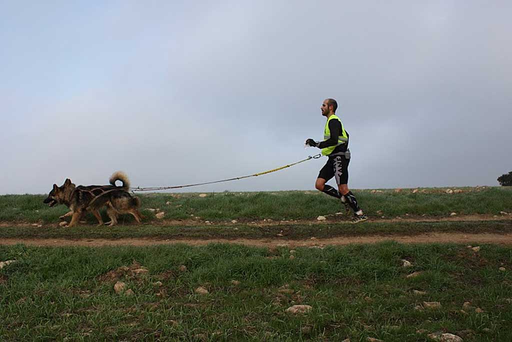 XXIII Travesía de Los Monegros con Perros de Tiro.