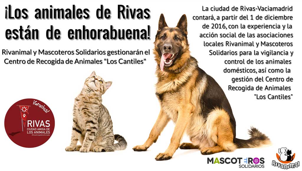 Rivanimal gestionará la recogida de animales domésticos.