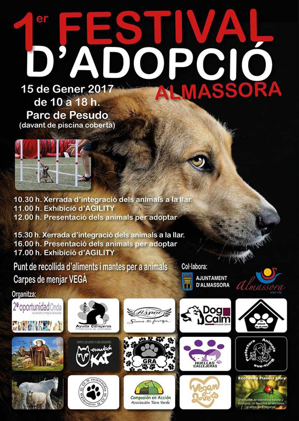 Festival de la Adopción en Almassora.