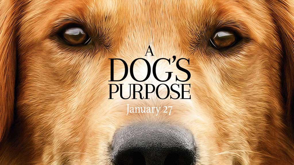 A dog´s purpose, maltrato animal en el cine.