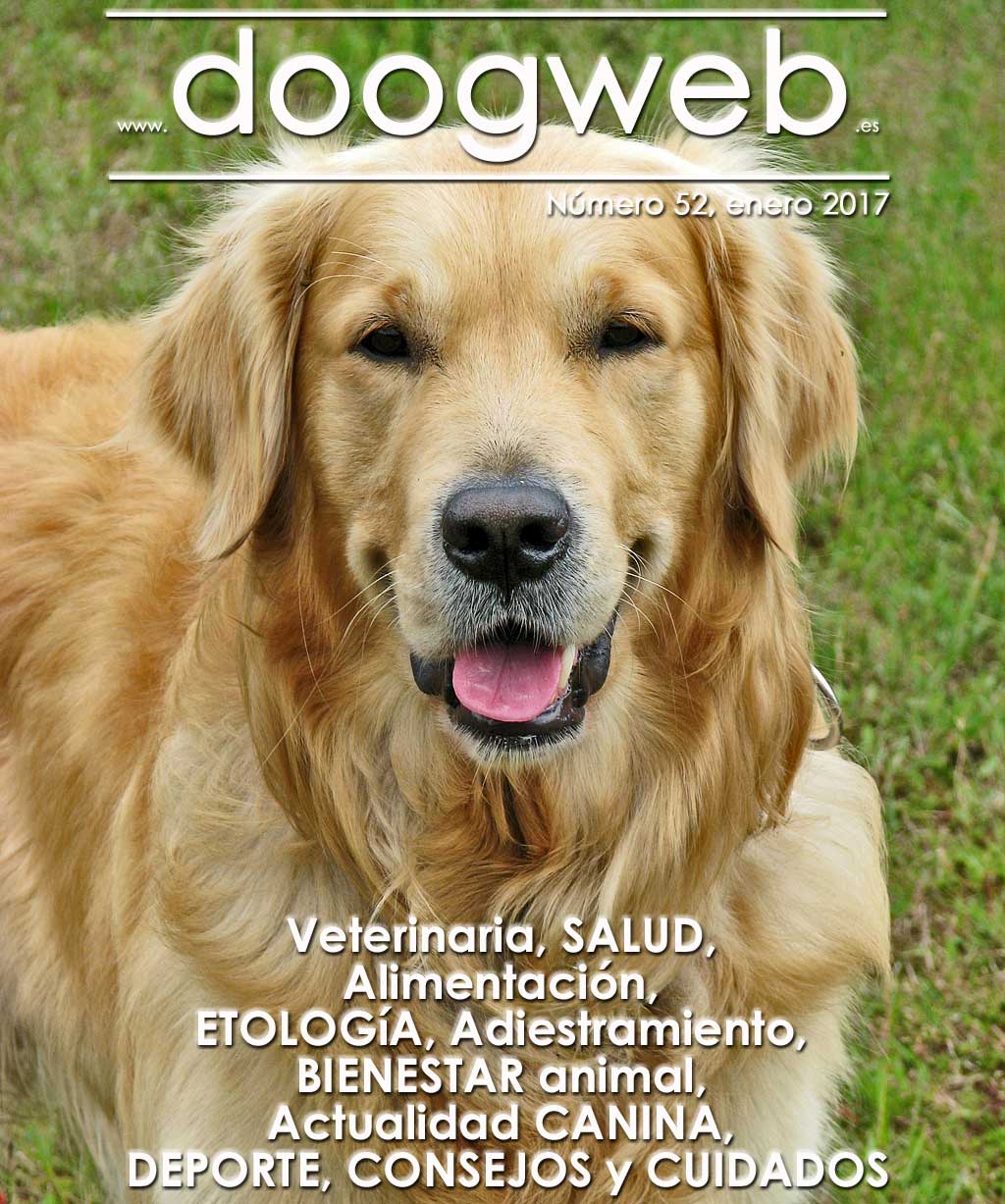 Doogweb_revista52