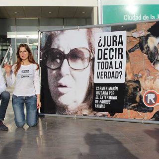 La protectora El Refugio celebra la condena de tres años y nueve meses de cárcel para la Exterminadora de Parque Animal, Carmen Marín.