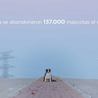 La agencia digital, Royal Canin, Rivas, Mascoteros Solidarios y Trixie se unen en una iniciativa de street maketing que busca concienciar sobre los altos niveles de abandono animal.