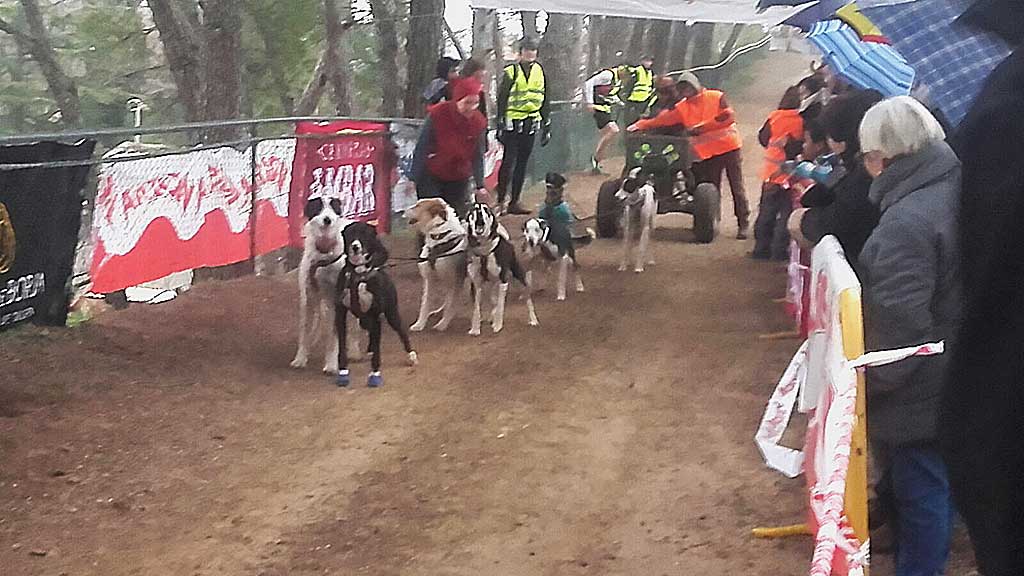 IIª edición de la Carrera de Mushing de Ainzón