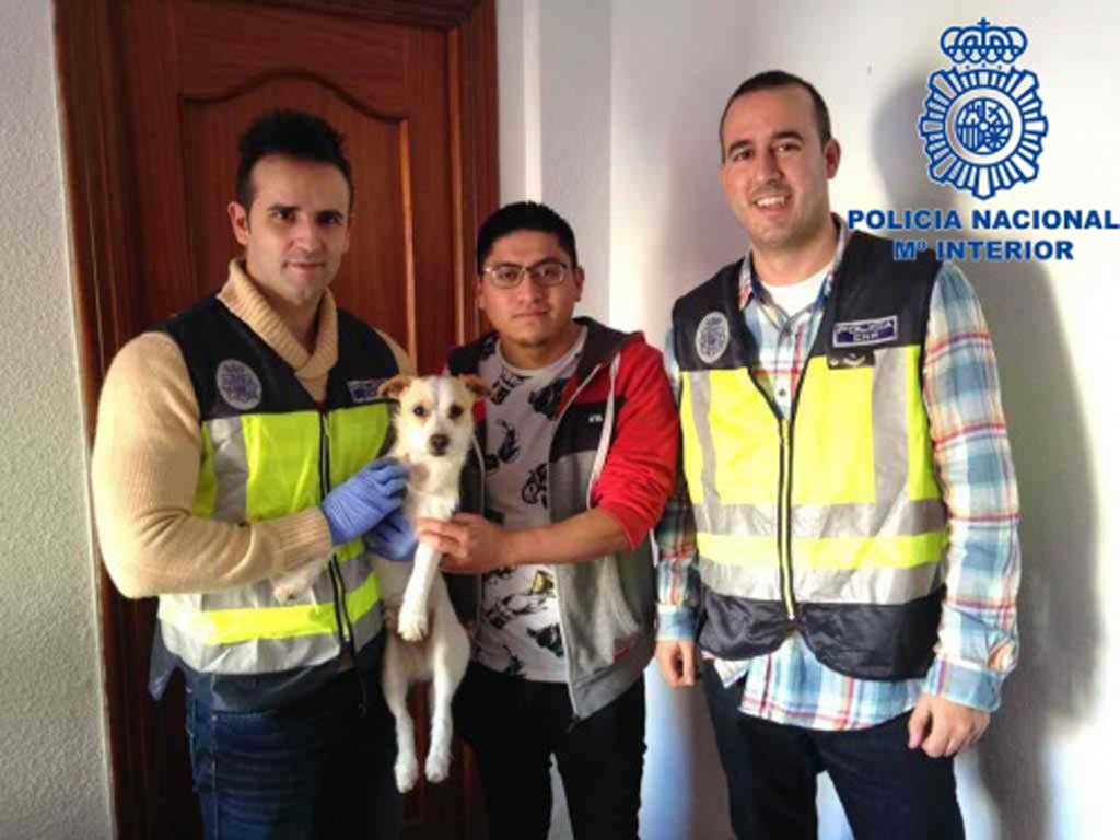 Policía Nacional detiene a una persona por dar una paliza a un perro