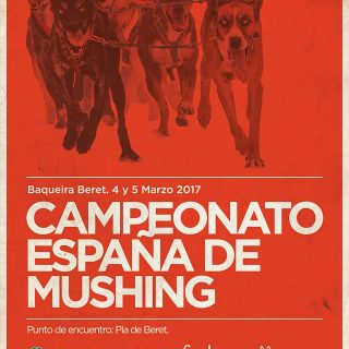 Campeonato de España de Mushing Nieve.