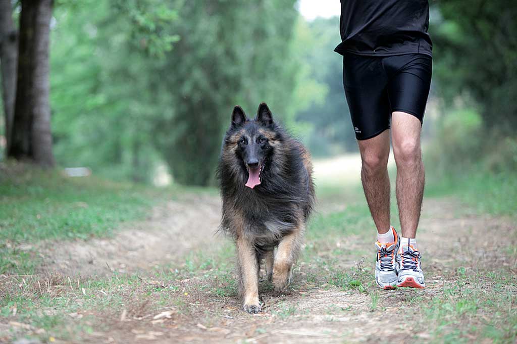 El paseo con el perro reduce las enfermedades coronarias o diabetes.