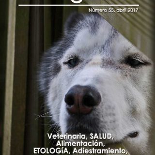 Revista de perros gratis de Doogweb.