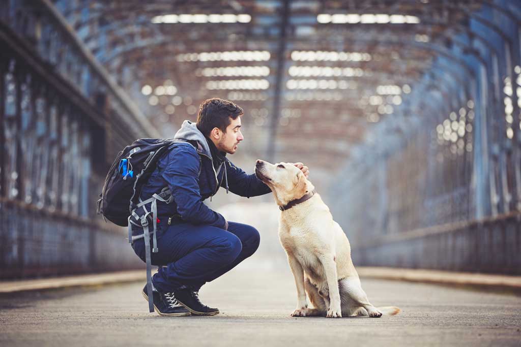 Kiwoko, la mayor cadena de tiendas de animales de España, nos da las principales pautas para preparar unas vacaciones cuando hay un animal en casa