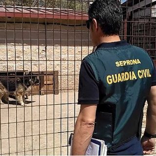 La Guardia Civil interviene una instalación con 59 perros en pésimas condiciones higiénico-sanitarias