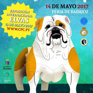 XXXIV Exposición Internacional Canina de Badajoz.