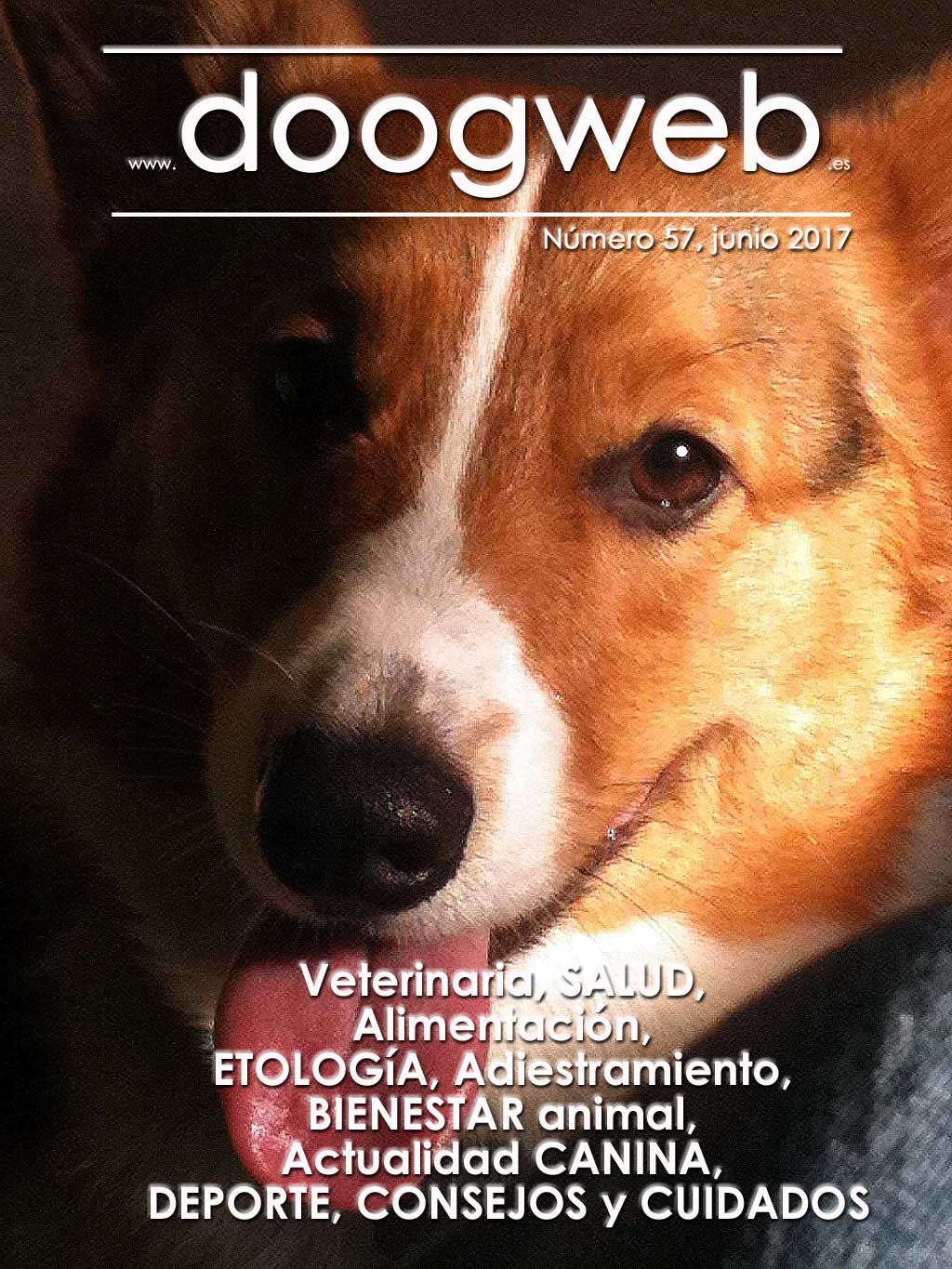 Revista gratis de perros de doogweb, junio 2017.