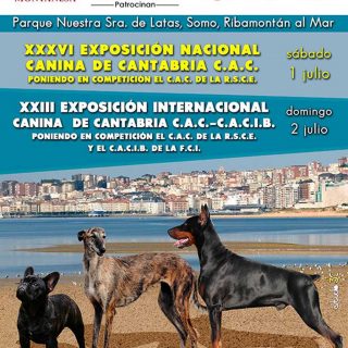 Más de 1.300 perros participarán este fin de semana en varias exposiciones caninas en Cantabria.
