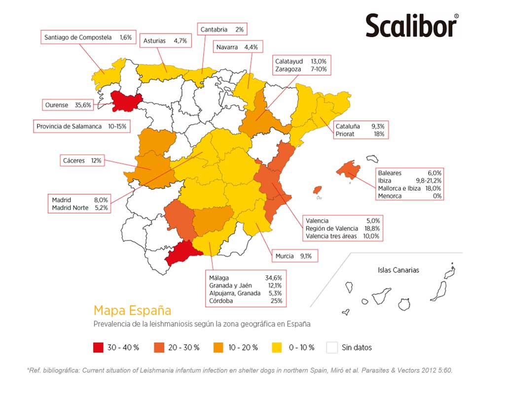 Funcionan los collares evitar Leishmaniosis? - www.doogweb.es