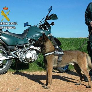 Cuenta con el apoyo de una Unidad Canina de la Guardia Civil altamente especializada, con base en El Pardo (Madrid). Se han realizado inspecciones en 16 localidades de la provincia y se localizaron restos de carne impregnados en veneno.