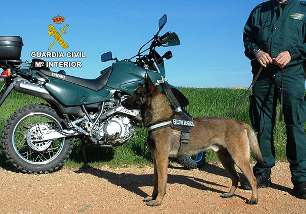 Cuenta con el apoyo de una Unidad Canina de la Guardia Civil altamente especializada, con base en El Pardo (Madrid). Se han realizado inspecciones en 16 localidades de la provincia y se localizaron restos de carne impregnados en veneno.
