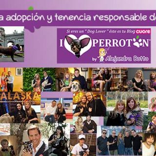 El objetivo de Perrotón Madrid 2017 es promover y fomentar la adopción y tenencia responsable de nuestros animales de compañía.