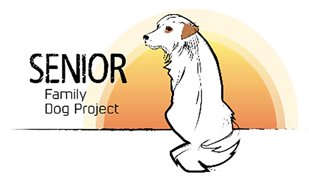 Family Dog Project pide tu colaboración para Senior Dog Project