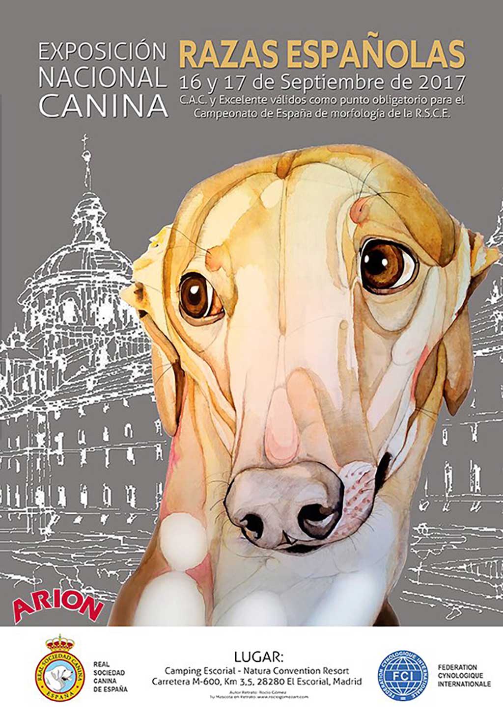 Cerca de 300 perros participan en la Exposición Nacional Canina de Razas Españolas.