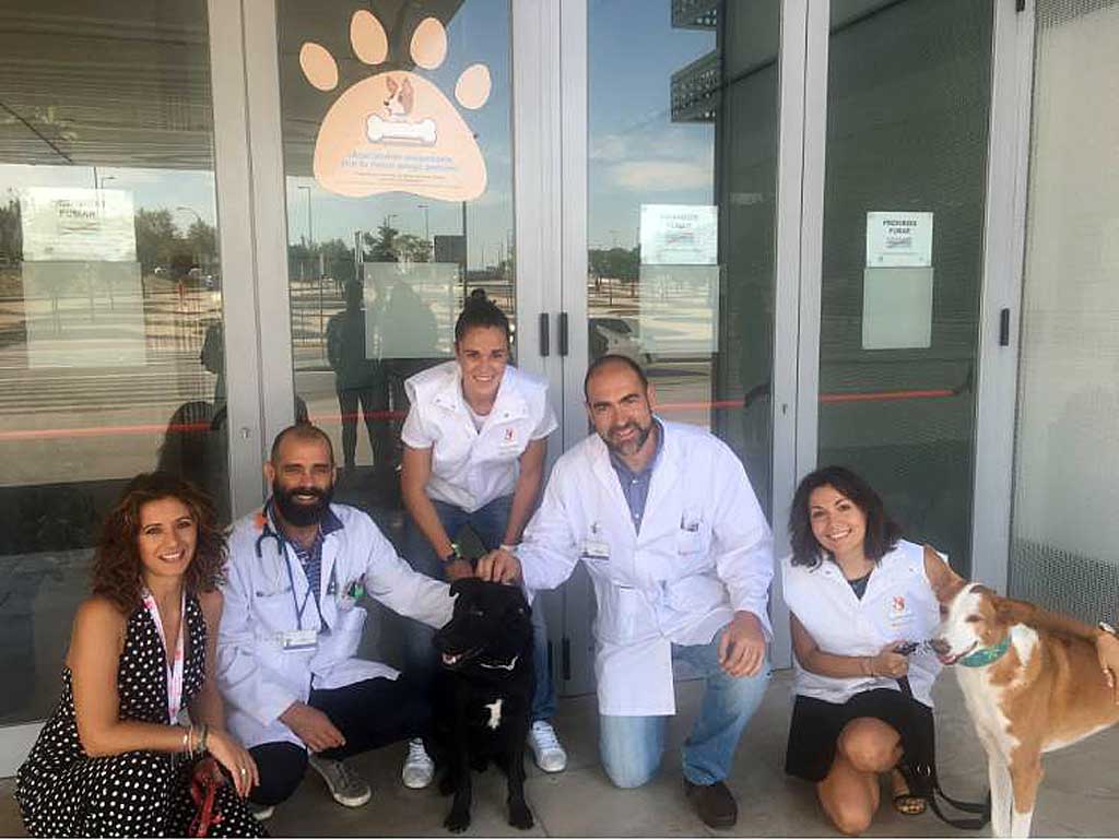 El Hospital Universitario Rey Juan Carlos pone en marcha un programa de visitas caninas para los niños hospitalizados.