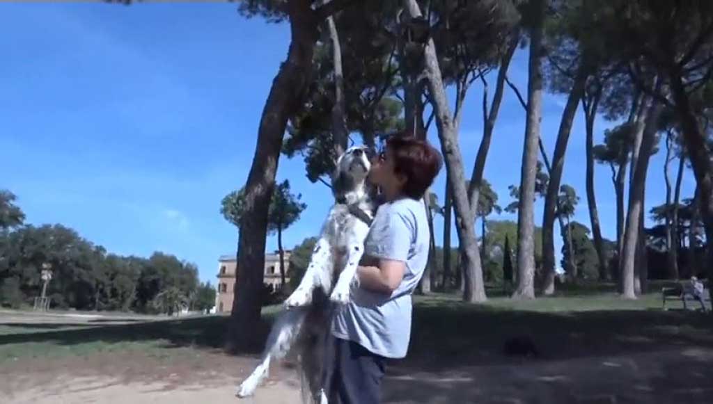 Pidió días de baja para cuidar de su perro que iba a ser operado.