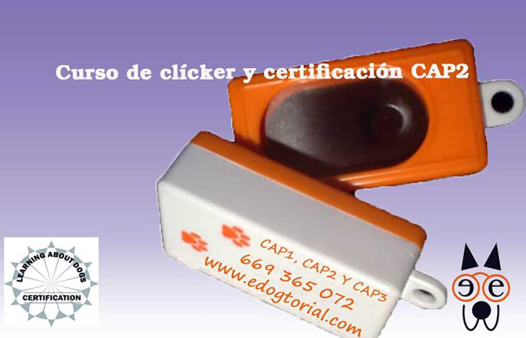 Curso de adiestramiento con clicker CAP 2 en Madrid.
