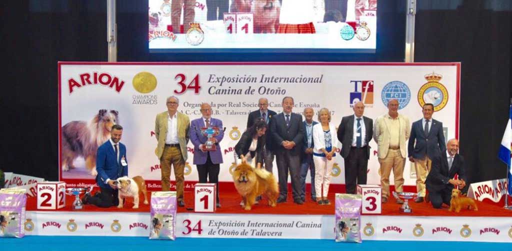 Resultados de la 34º Exposición Internacional Canina de Otoño.