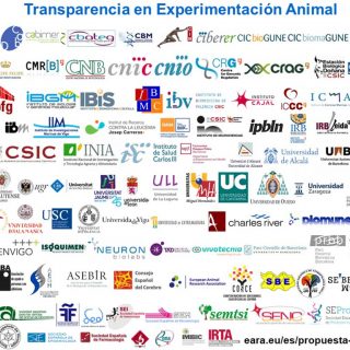 Acuerdo de transparencia sobre el uso de animales en experimentación científica en España.