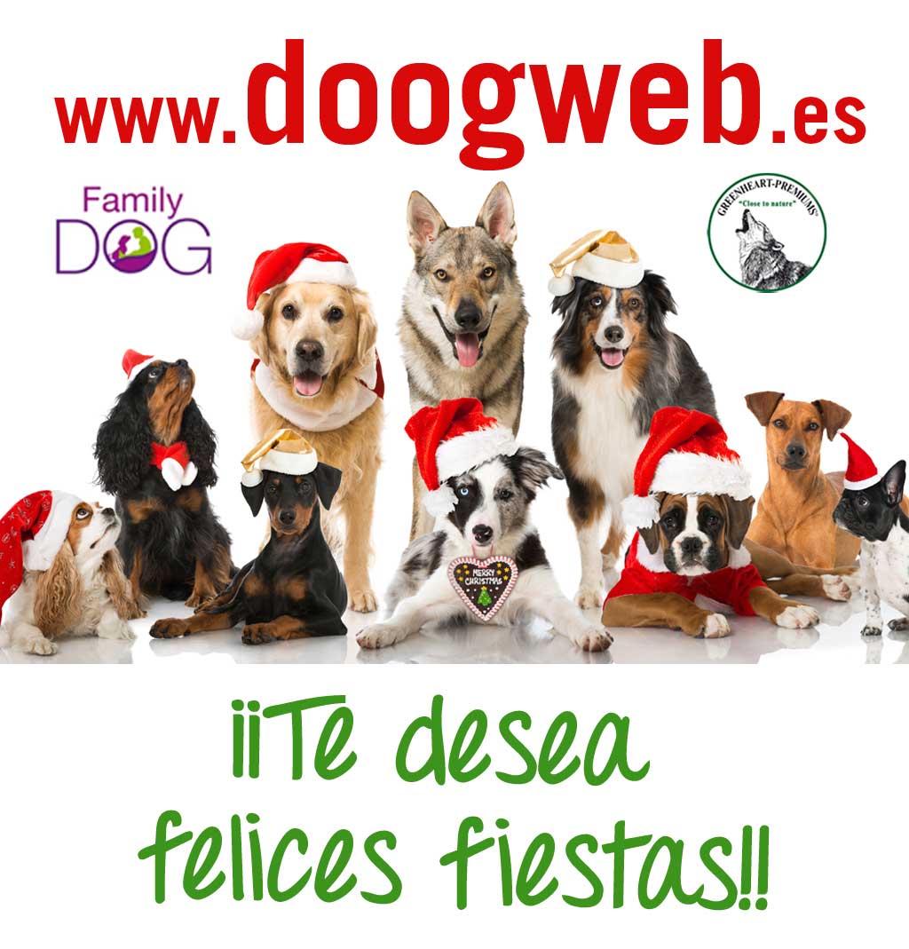 Doogweb y sus patrocinadores principales, Family Dog y Greenheart SuperPremiums, te deseamos que pases una feliz Navidad y que 2016 sea un año fantástico para ti y tu familia (humana y perruna por supuesto).