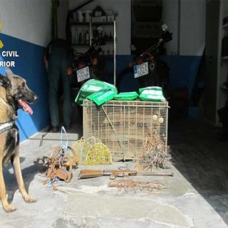 Detención e investigación de 16 personas por el uso ilegal de venenos para la caza.