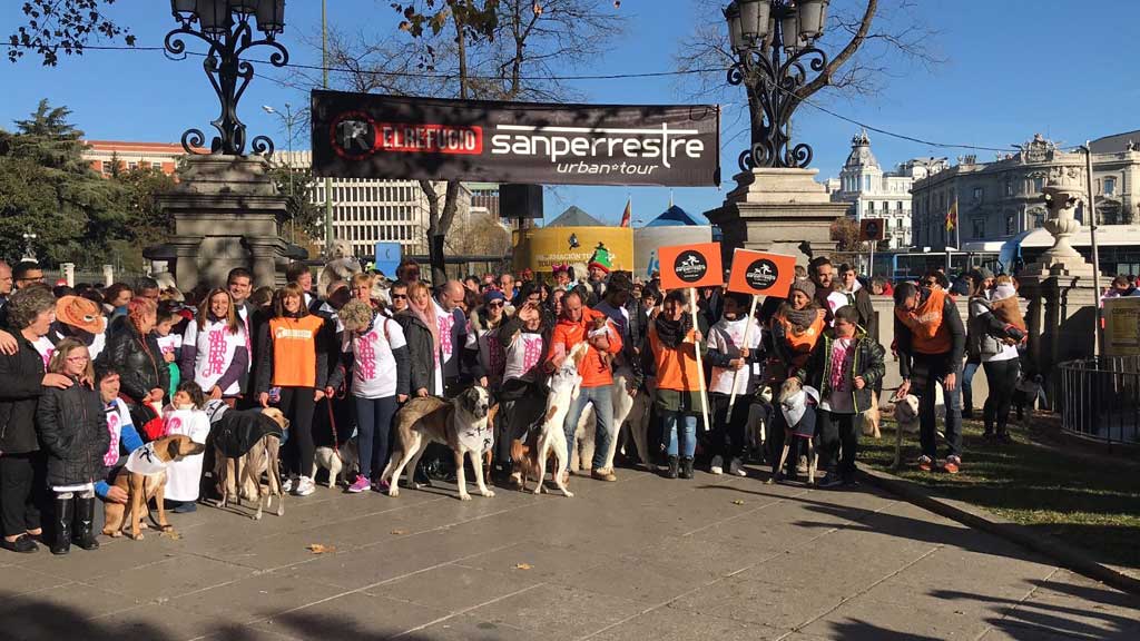 Cientos de madrileños con sus perros llenan las calles del centro de Madrid en la Sanperrestre 2017.
