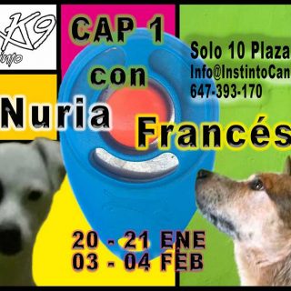 Clicker CAP1 en Zaragoza.