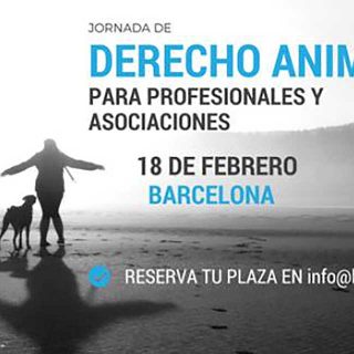 Derecho Animal para profesionales y asociaciones