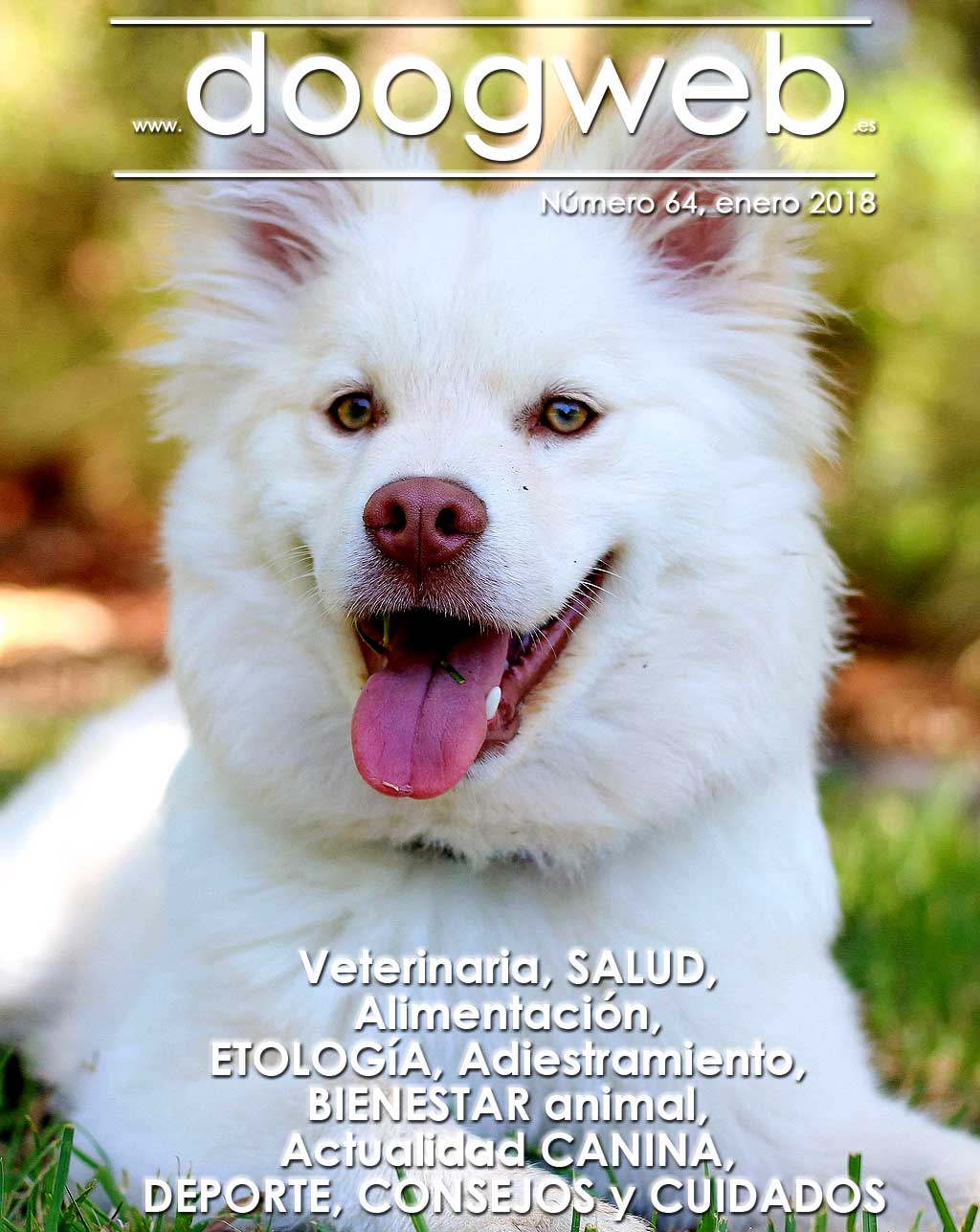 Revista gratis dr Doogweb enero 2018.
